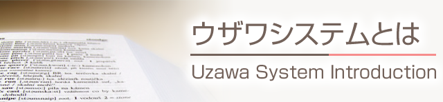 ウザワシステムとは