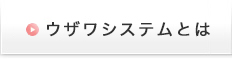 ウザワシステムとは